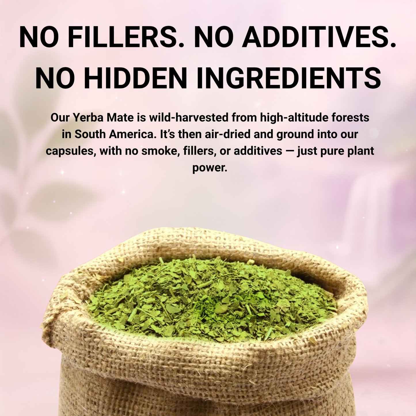 Skinni® Yerba Magic